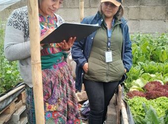 Visitas técnicas y capacitaciones agrícolas dentro del Proyecto Promover el derecho a la alimentación de la población vulnerable kaqchikel de las comunidades rurales de Pamanzana y Vista Bella